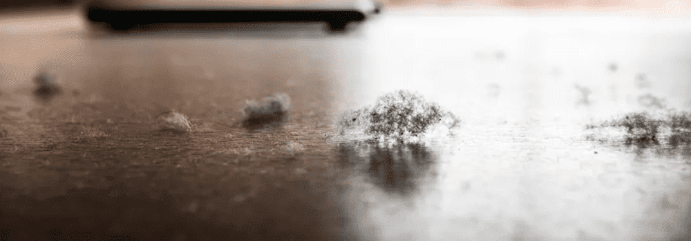 揭秘空氣質量:灰塵與PM2.5的區別